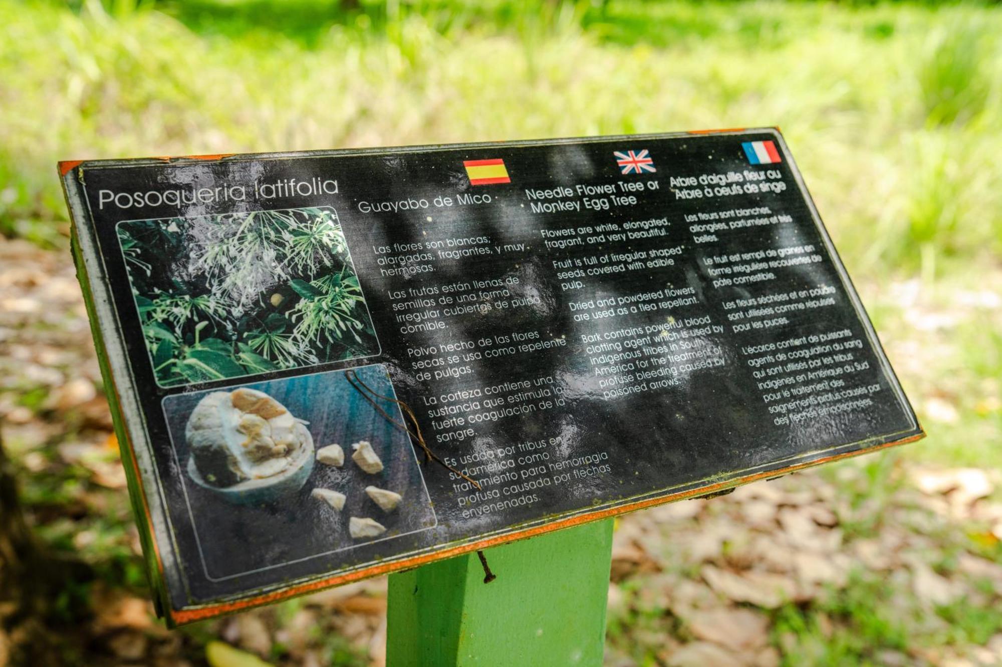 Hacienda Baru Βίλα Dominical Εξωτερικό φωτογραφία
